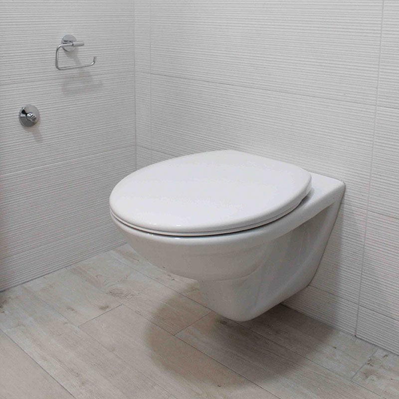 Toilet safety for disabilities
