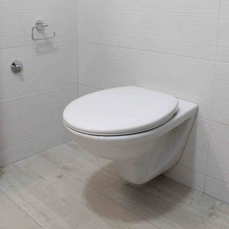 Toilet safety for disabilities